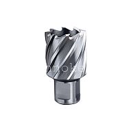 Metabo HSS фреза 14x30мм, хвостовик 19 мм 626502000 фото